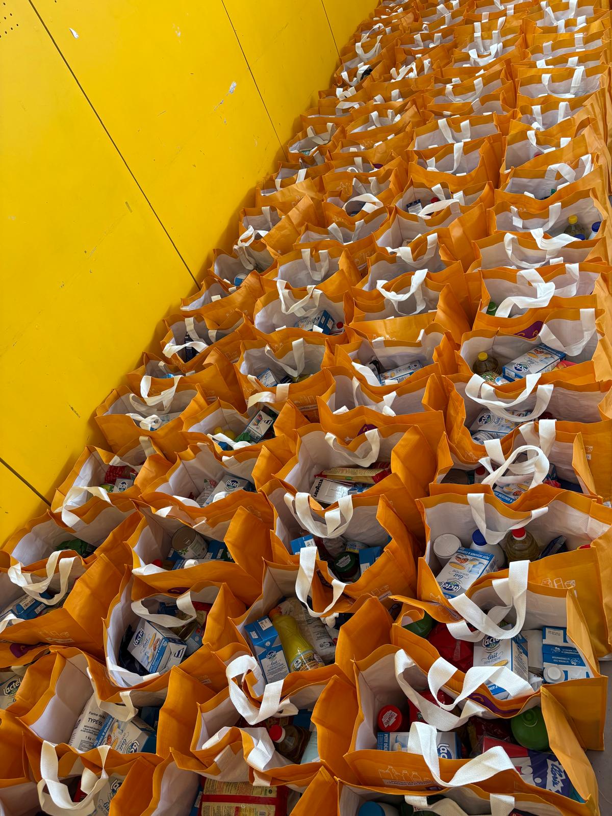 55901460-e82a-448e-a991-dfe30866d7f9